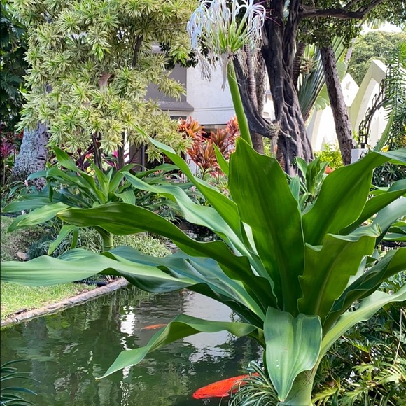 Meet your Posher - Picture 1 of 1